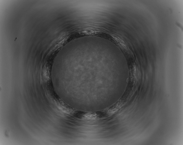 X0000097600606200802291245