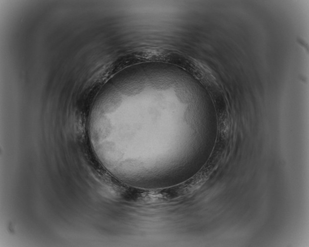 X0000097600607200802291245