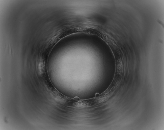 X0000097600608200802291245