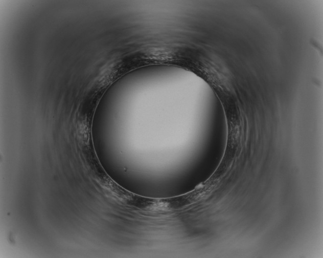 X0000097600609200802291245