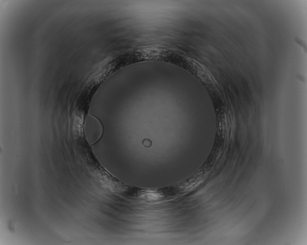 X0000097600610200802291245