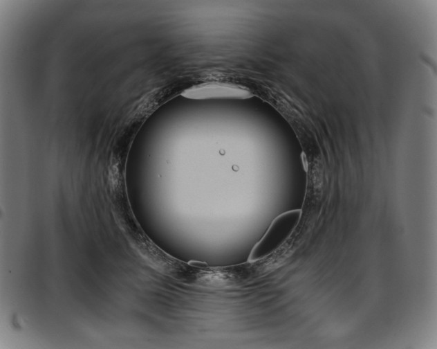X0000097600611200802291245