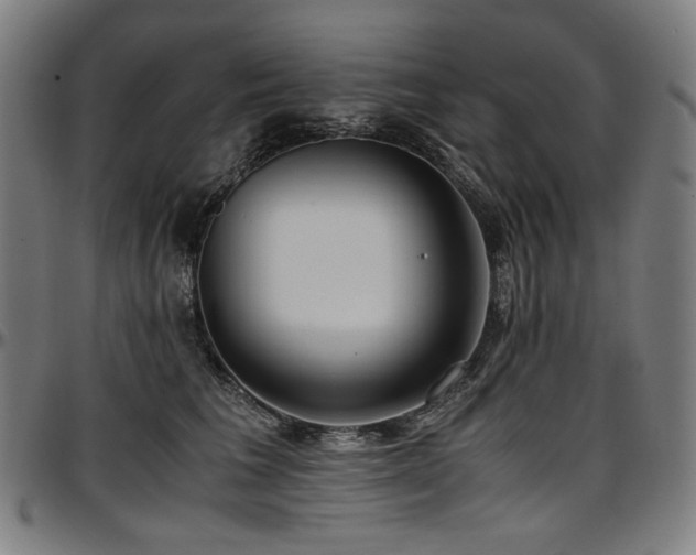 X0000097600613200802291245