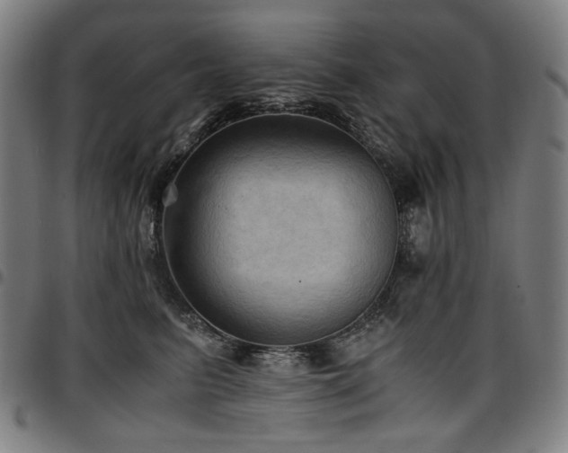 X0000097600615200802291245