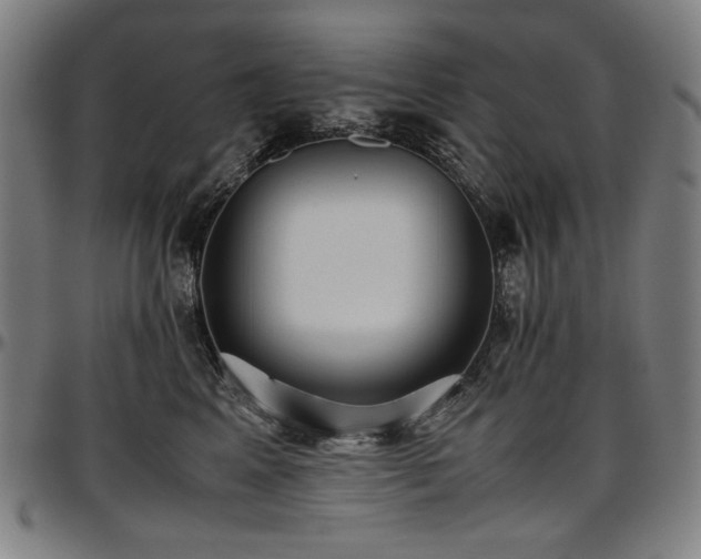X0000097600617200802291245