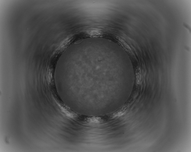 X0000097600618200802291245