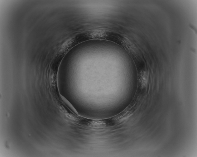 X0000097600619200802291245