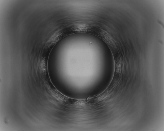 X0000097600620200802291245