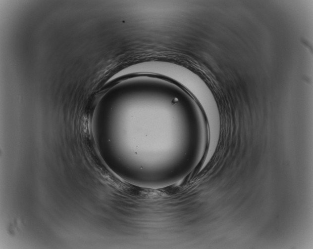 X0000097600621200802291245