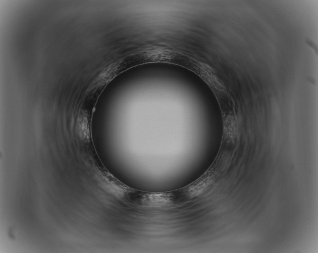 X0000097600622200802291245