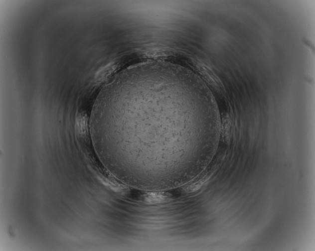 X0000097600623200802291245