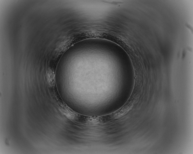 X0000097600624200802291245