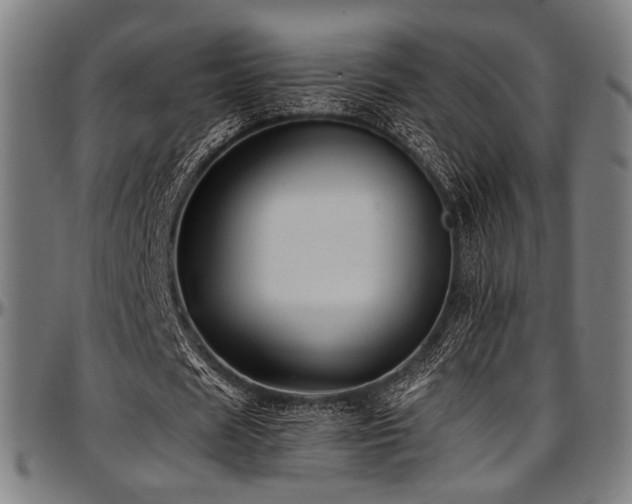 X0000097600625200802291244