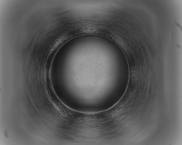X0000097600626200802291244