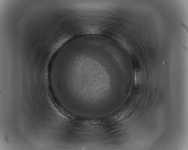 X0000097600627200802291244