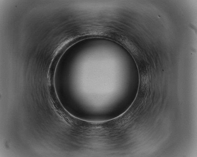 X0000097600628200802291244