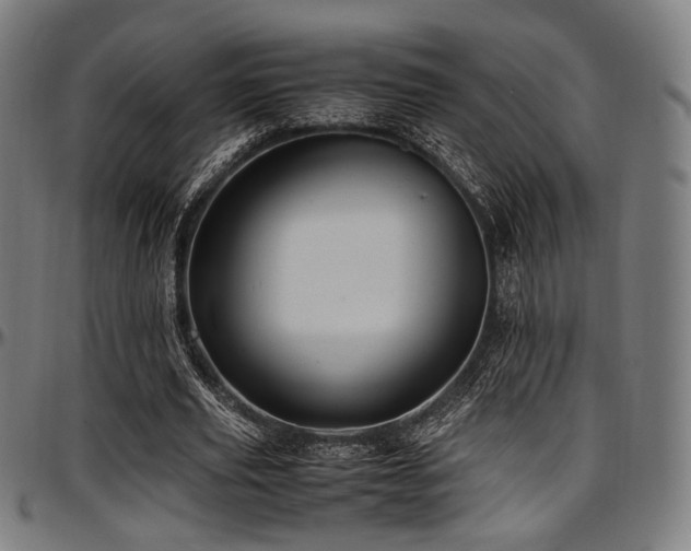 X0000097600629200802291244