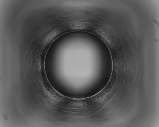 X0000097600631200802291244