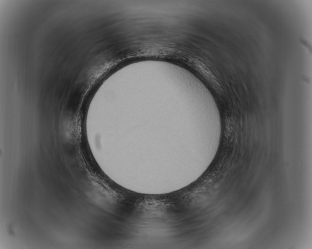 X0000097600632200802291244