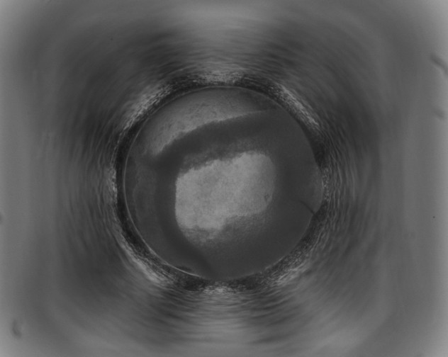 X0000097600634200802291244