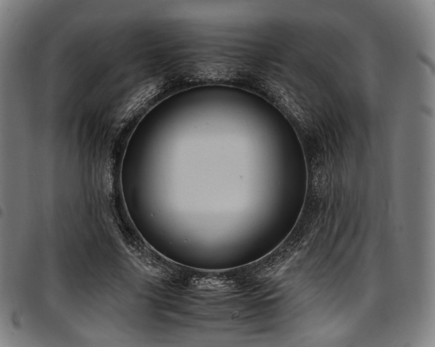 X0000097600635200802291244