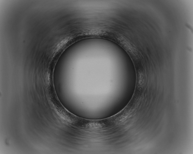 X0000097600636200802291244