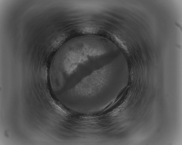X0000097600637200802291244