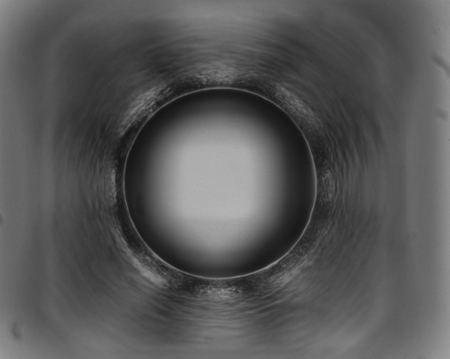 X0000097600638200802291244