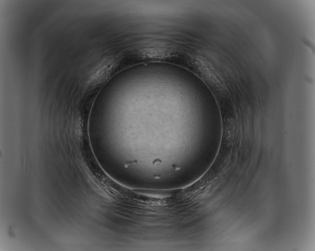 X0000097600639200802291244
