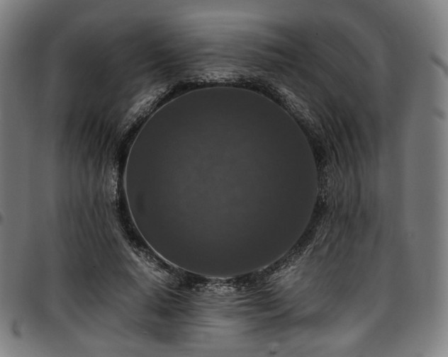X0000097600640200802291244