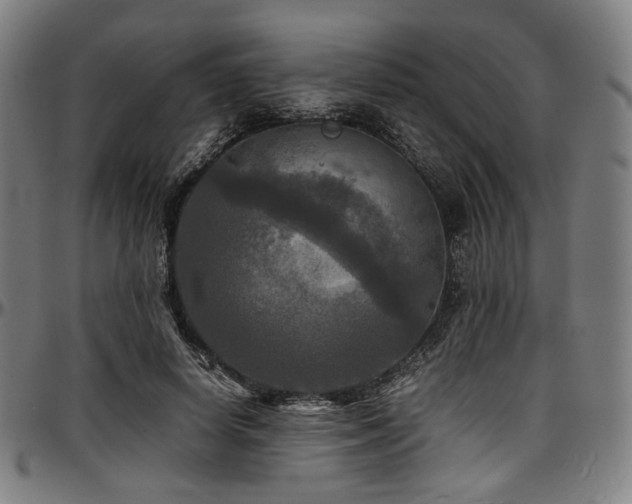 X0000097600642200802291244