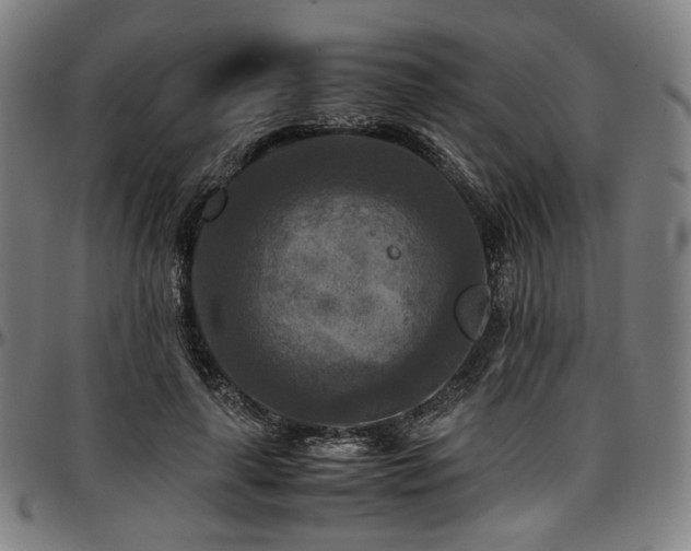 X0000097600643200802291244