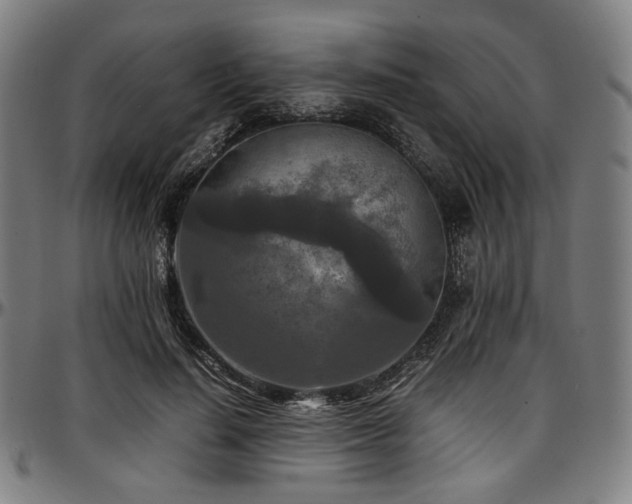 X0000097600644200802291244