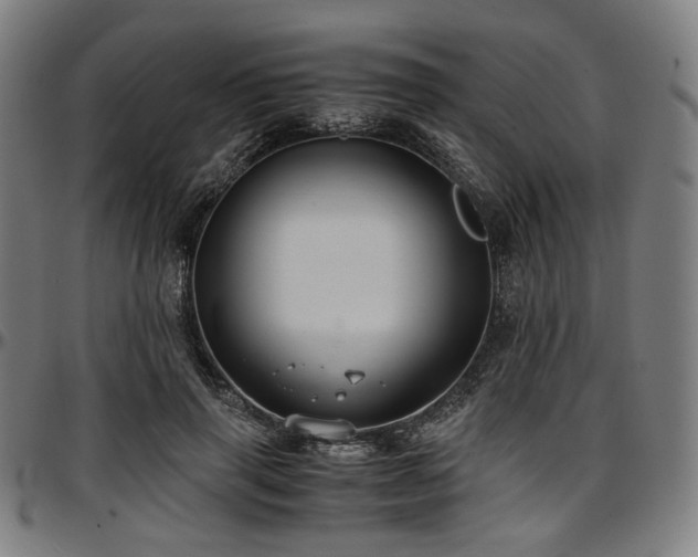 X0000097600645200802291244