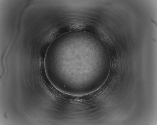 X0000097600647200802291244