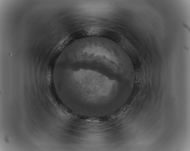 X0000097600648200802291244
