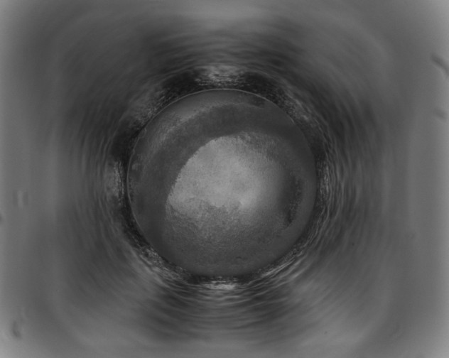 X0000097600651200802291244