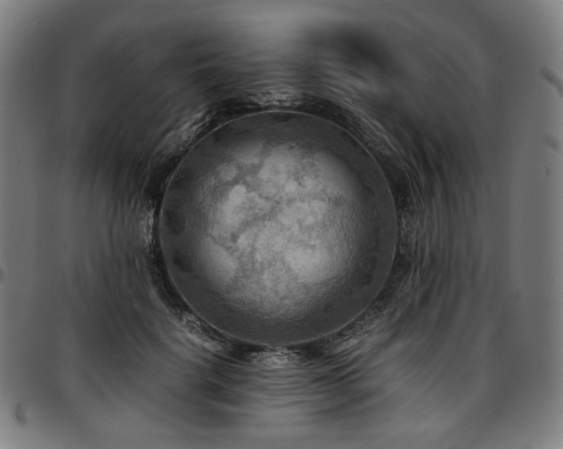 X0000097600652200802291244