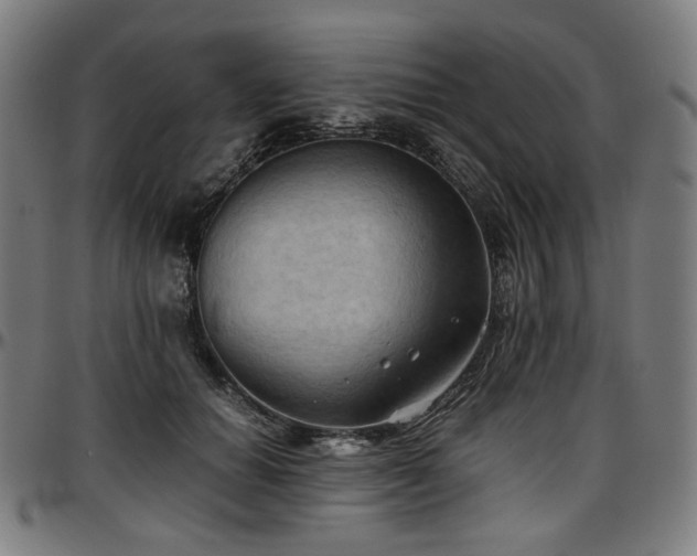X0000097600654200802291244
