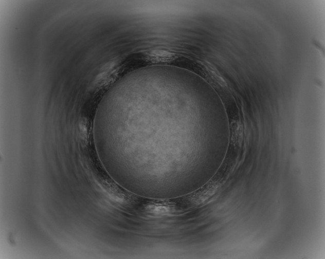 X0000097600655200802291244