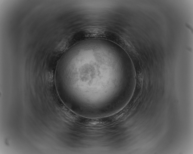 X0000097600657200802291244