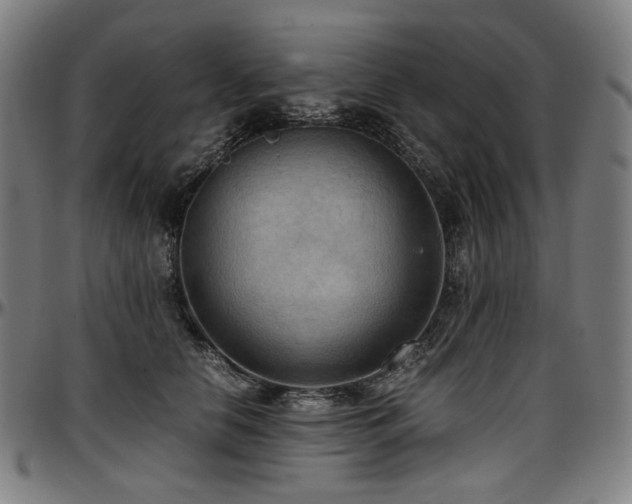 X0000097600658200802291244