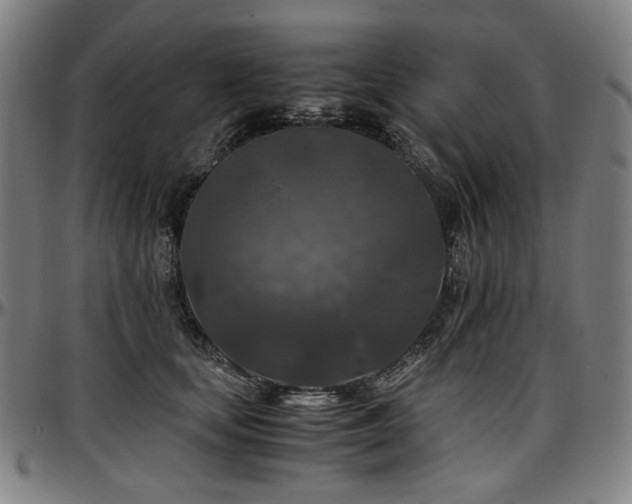 X0000097600659200802291244