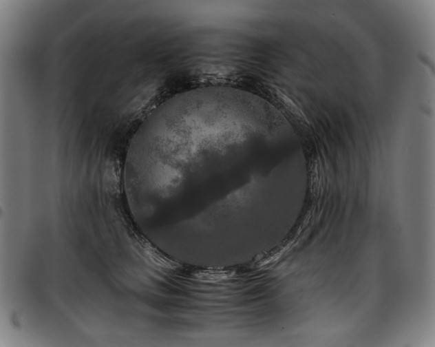 X0000097600661200802291245