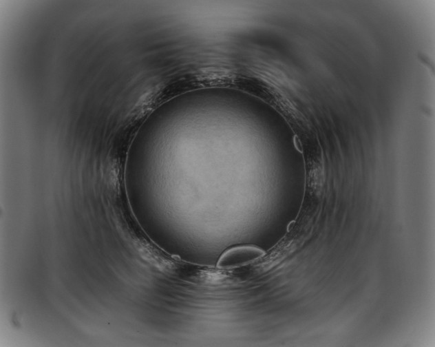 X0000097600662200802291245