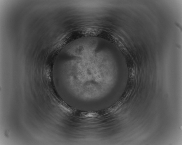 X0000097600663200802291245