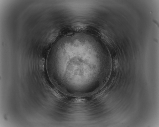 X0000097600664200802291245