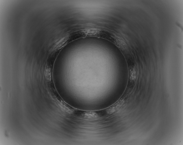 X0000097600666200802291245