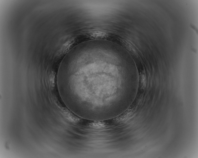X0000097600668200802291245