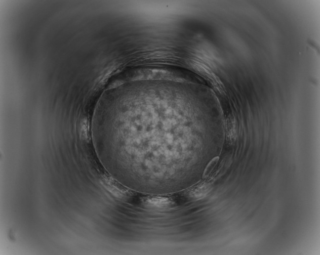 X0000097600669200802291245